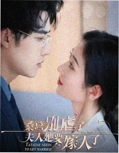 星辰影院免费观看电视剧电影天狼 - 天狼权谋